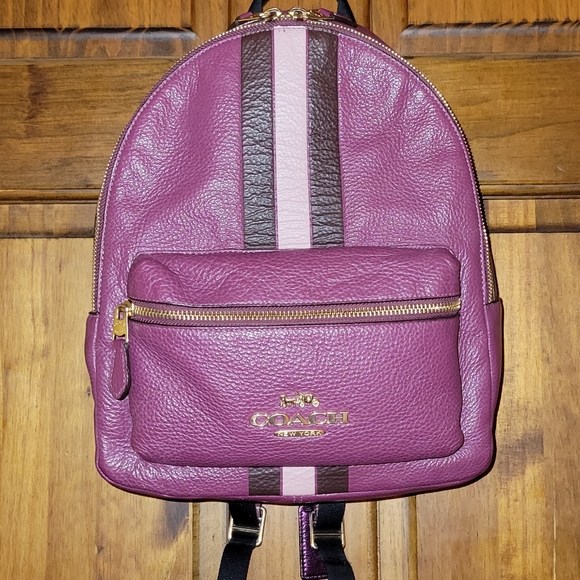 Coach Jes Berry Multi Pebbled Leather Small Backpack Varsity Stripe F89167 - Picture 2 of 16